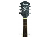 Ibanez AF55-TKF Ibanez AF55-TKF